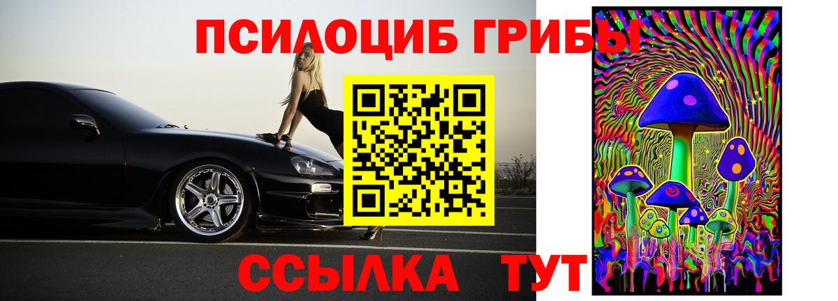 где продают наркотики  Галлюциногенные грибы Psilocybe  Кинель  Вход с VPN  Псилоцибиновые грибы Psilocybine cubensis 