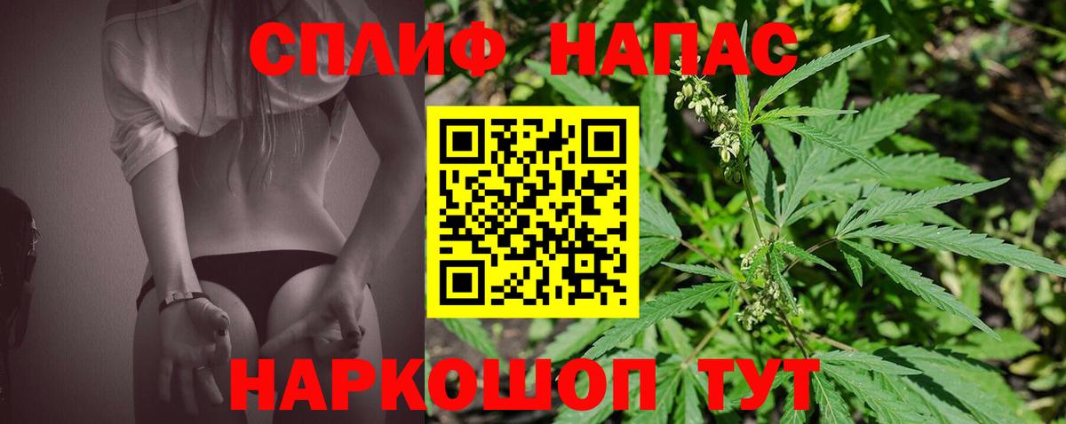 Каннабис план  Канабис тримм  Кинель  Бошки марихуана сатива  Вход с VPN 